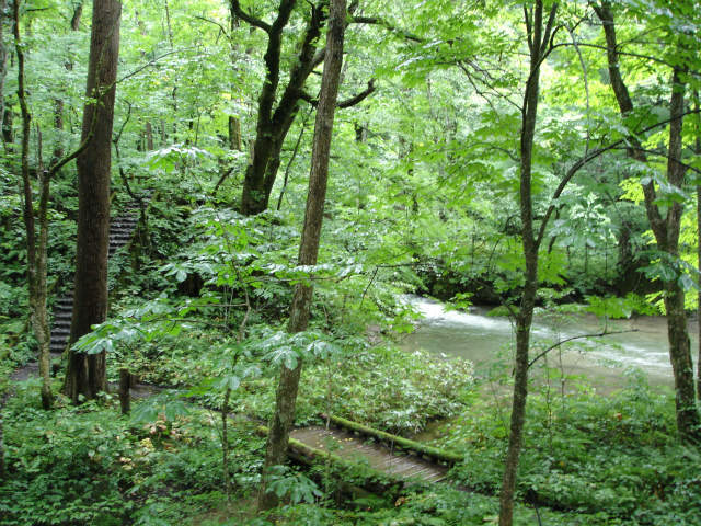 d0165378_09295616.jpg
