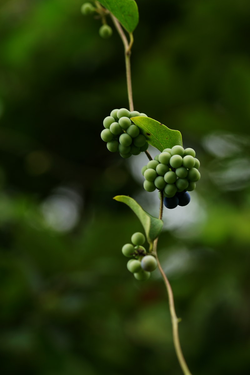 a0083081_19244690.jpg