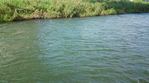 c0146788_121063.jpg