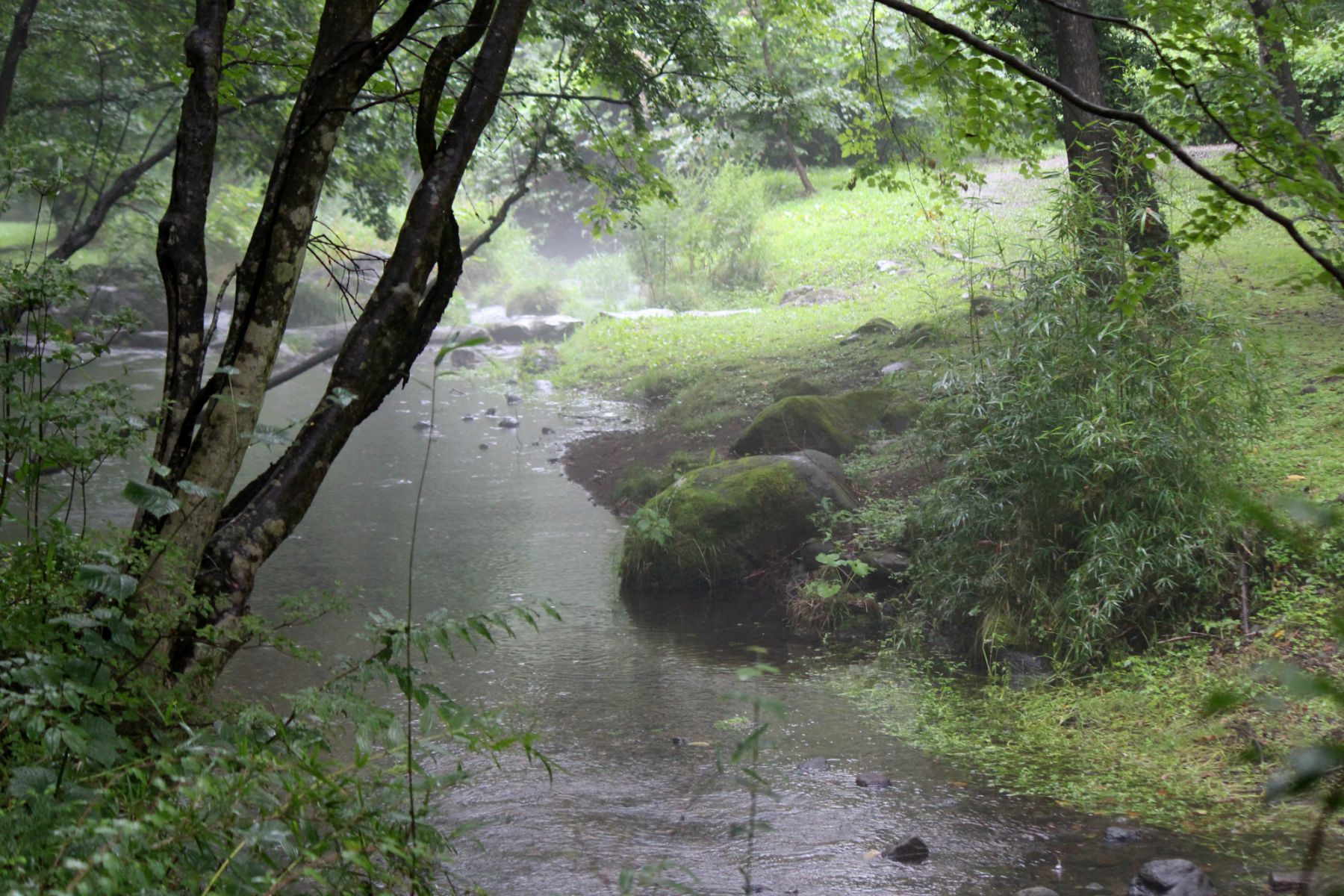 a0127090_1648645.jpg
