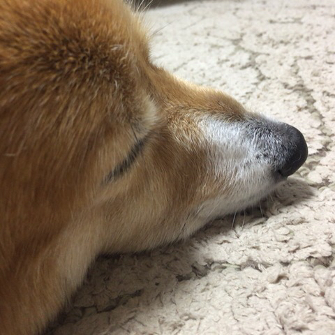 b0116497_01100921.jpg