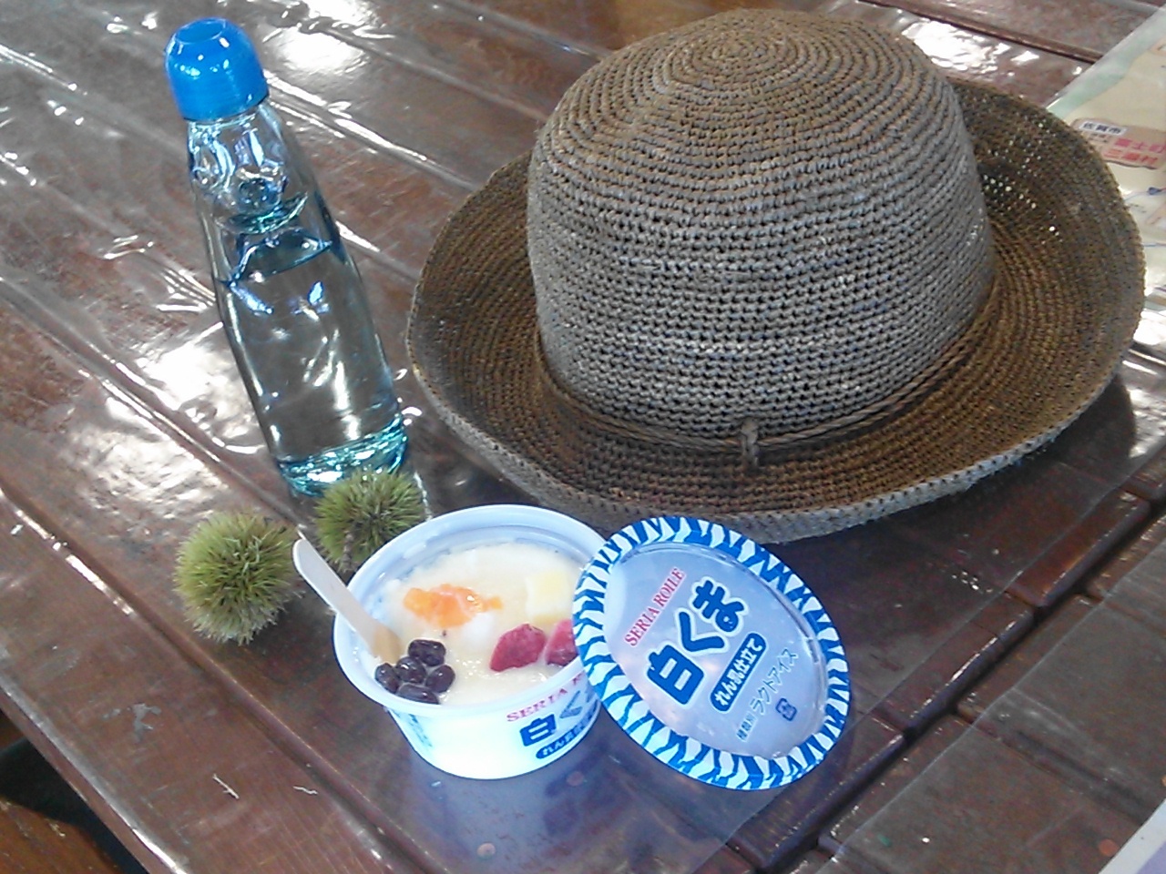e0352900_12031472.jpg