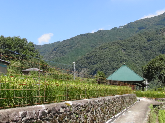 f0231709_217168.jpg