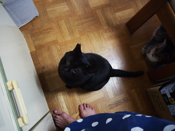 a0206019_00511297.jpg