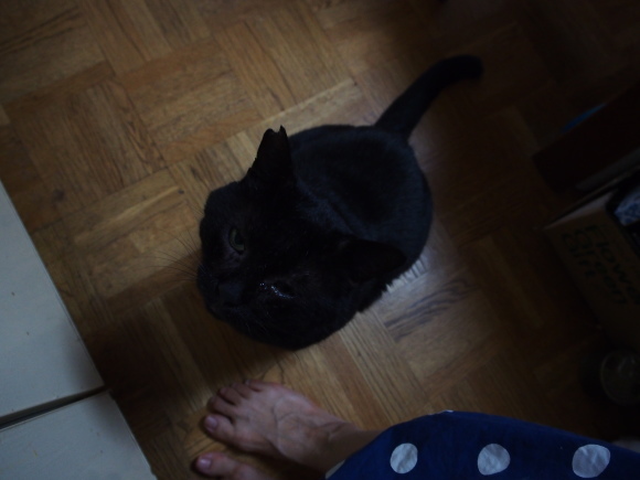a0206019_00515921.jpg