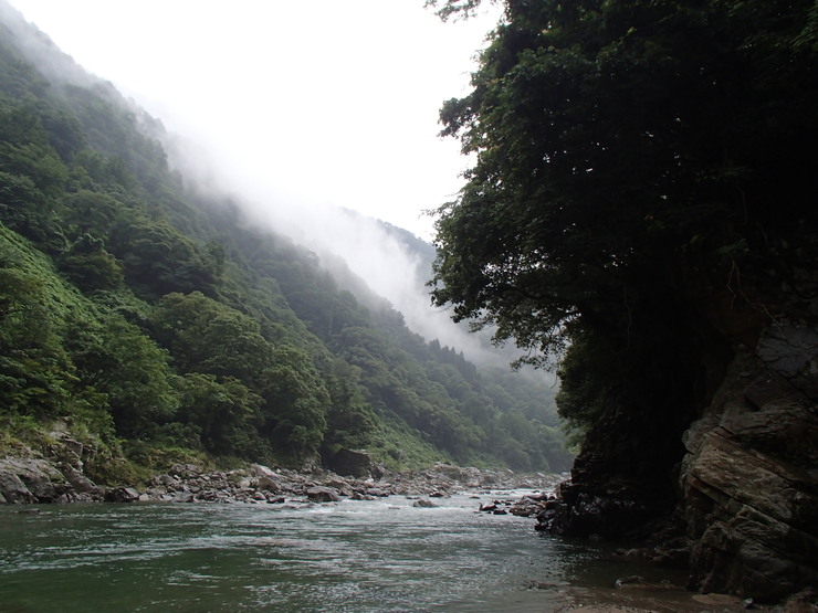 d0172227_5201789.jpg