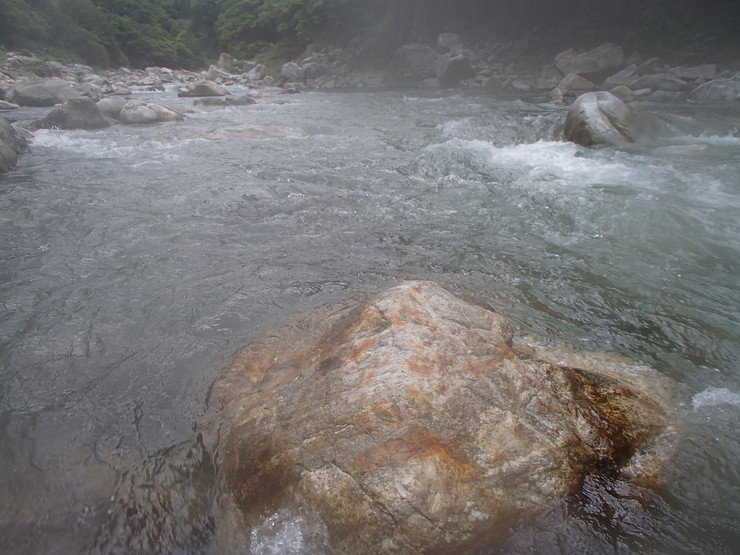 d0172227_5214581.jpg