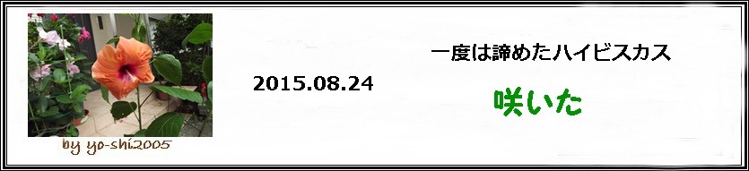 e0033229_19371436.jpg