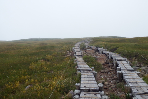 f0118332_23511154.jpg