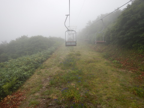 f0118332_23535665.jpg
