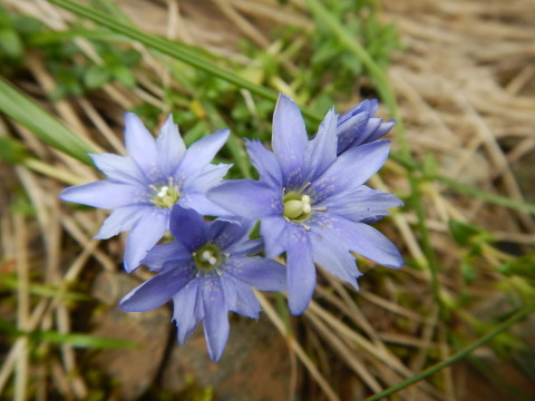 f0118332_23565953.jpg