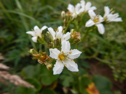 f0118332_23575344.jpg