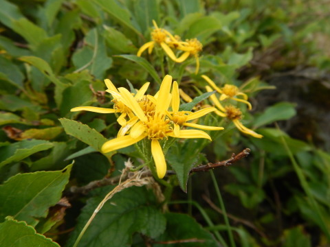 f0118332_23583768.jpg