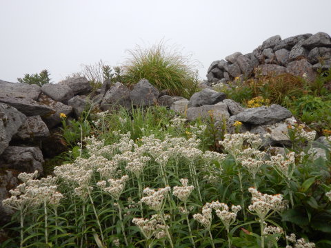 f0118332_23591806.jpg