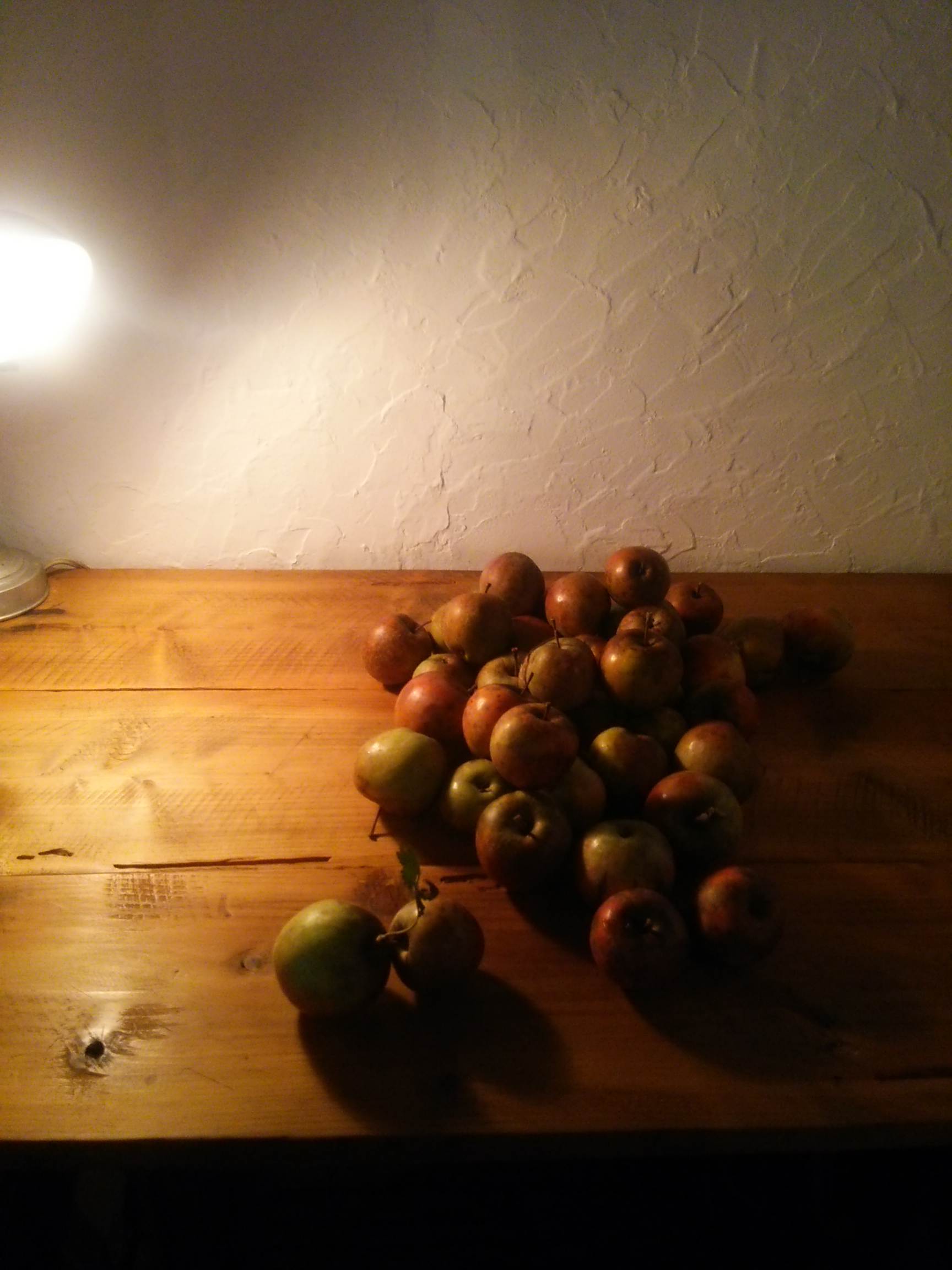 b0110035_01361405.jpg