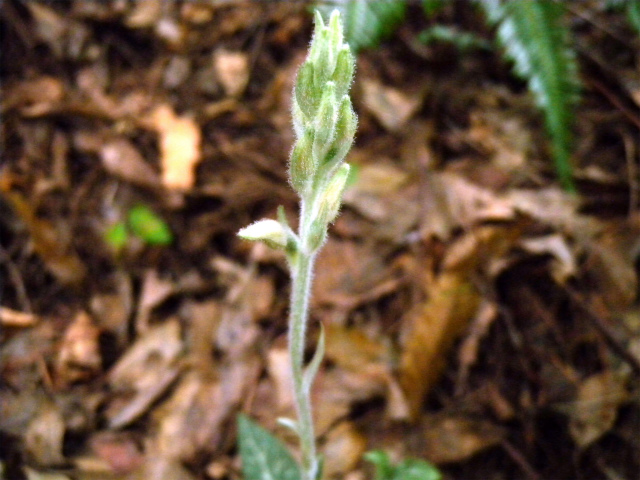 e0272335_16254441.jpg