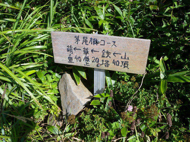 e0272335_4255257.jpg