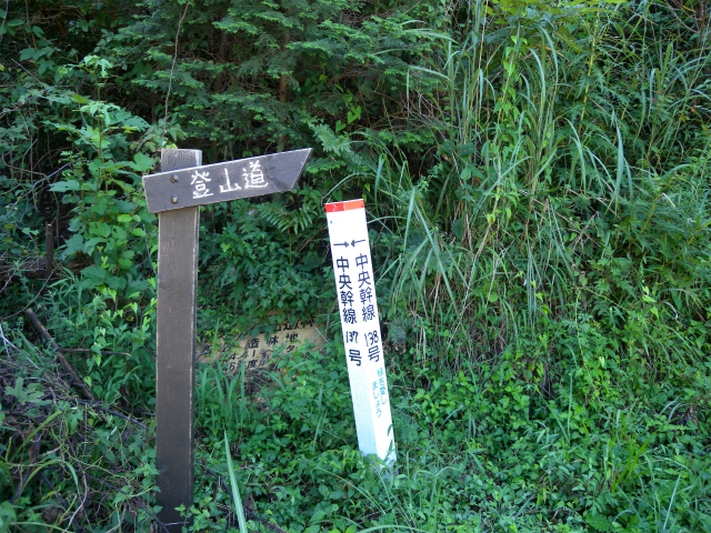 e0272335_437853.jpg