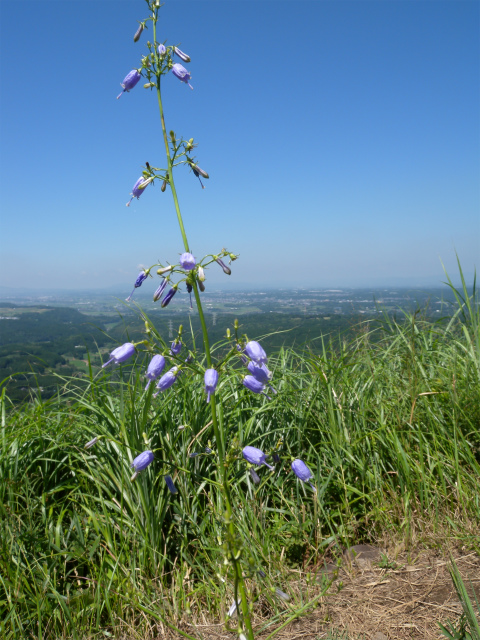 e0272335_5135264.jpg