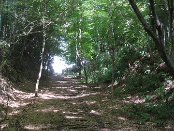 c0077338_62364.jpg