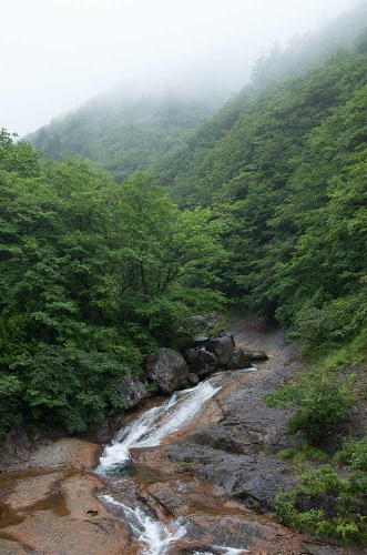 d0107938_1603571.jpg