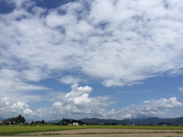 a0272241_1943118.jpg