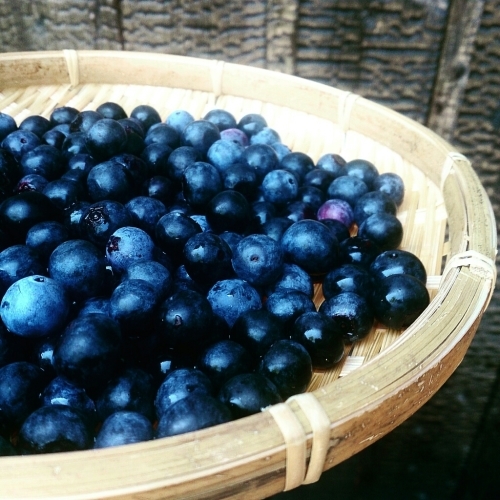 f0341250_21530714.jpg