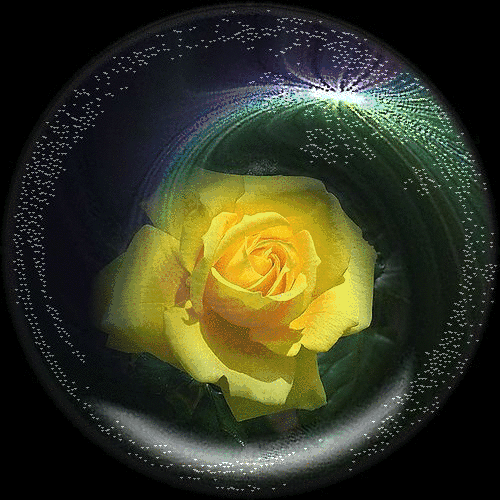 b0133752_712308.gif
