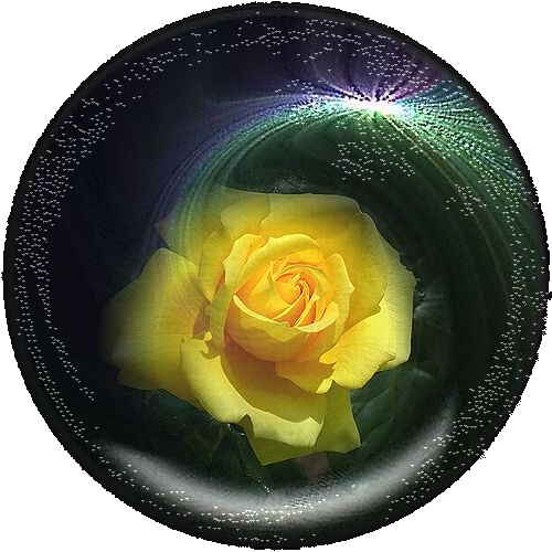 b0133752_7135190.png