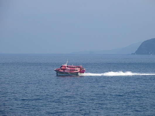 b0145863_02175.jpg