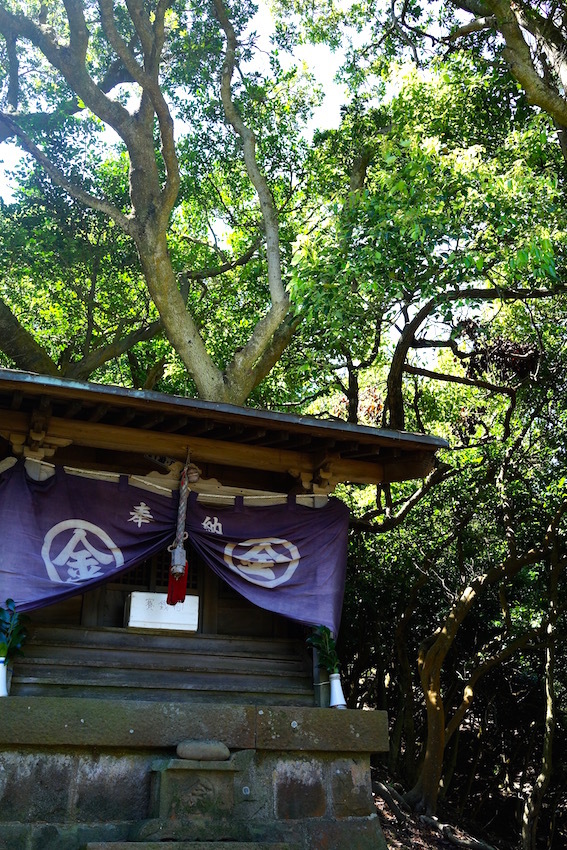 f0134963_20091775.jpg