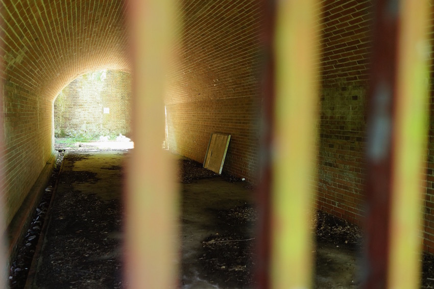 f0134963_20181994.jpg