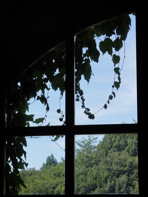 c0336266_20560537.jpg