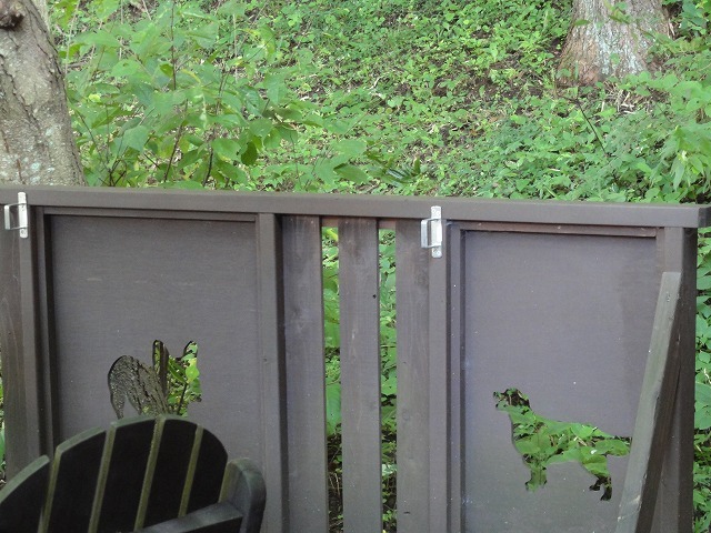 c0336266_21163516.jpg