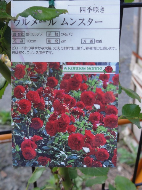 c0336266_21272880.jpg