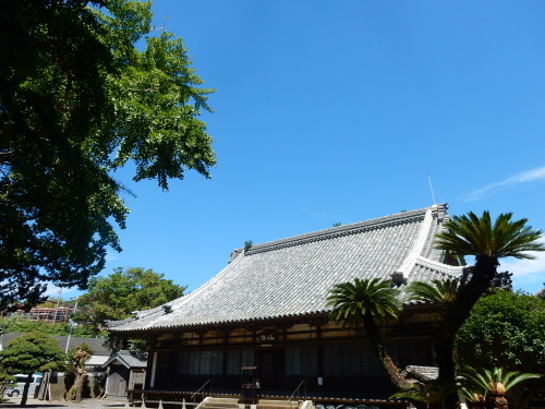 f0054677_08560923.jpg