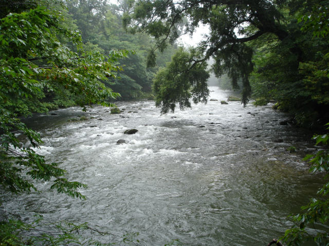 d0165378_17201945.jpg
