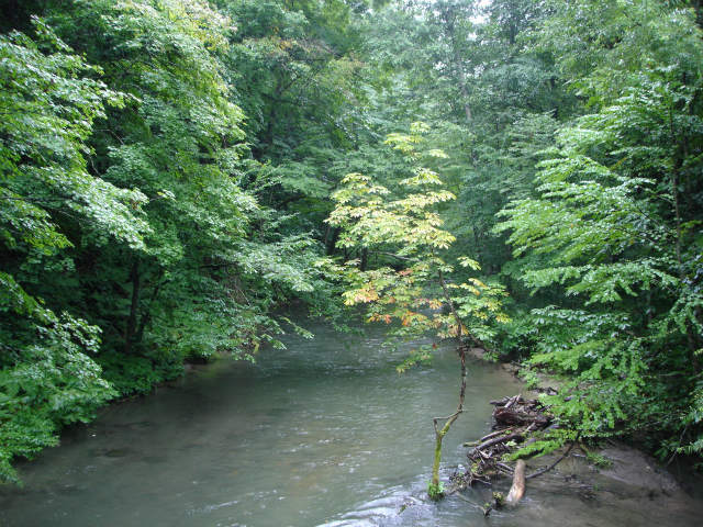 d0165378_17211781.jpg