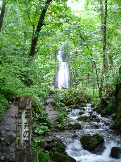 d0165378_17240107.jpg