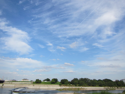 a0251786_21319100.jpg