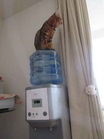 c0310987_12012121.jpg