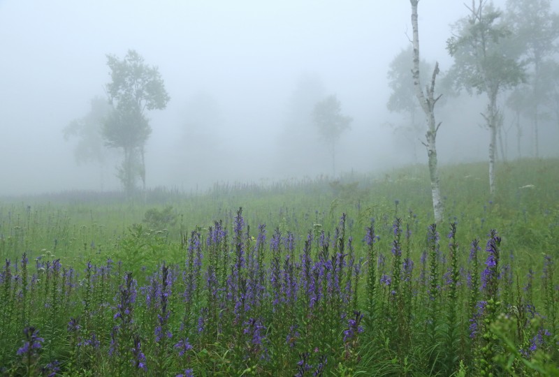 f0000789_9371052.jpg