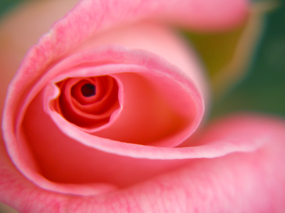 f0201297_23283722.jpg