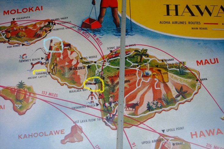 f0113108_8194798.jpg