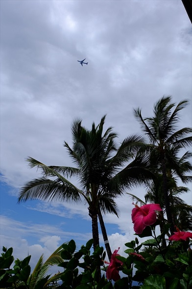 f0113108_8454618.jpg