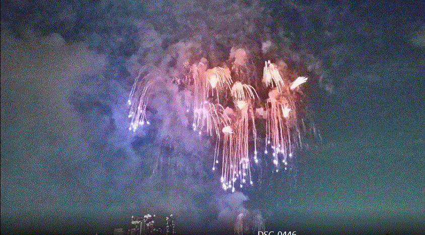 f0231709_017331.gif