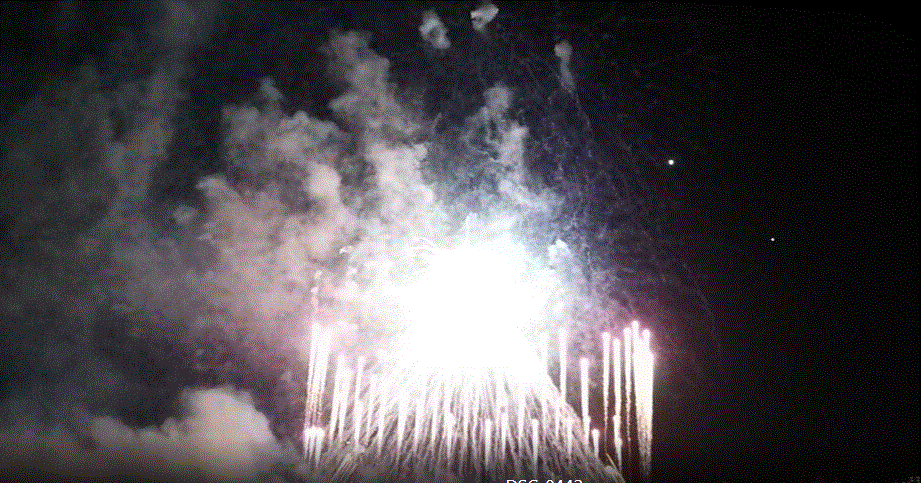 f0231709_017479.gif