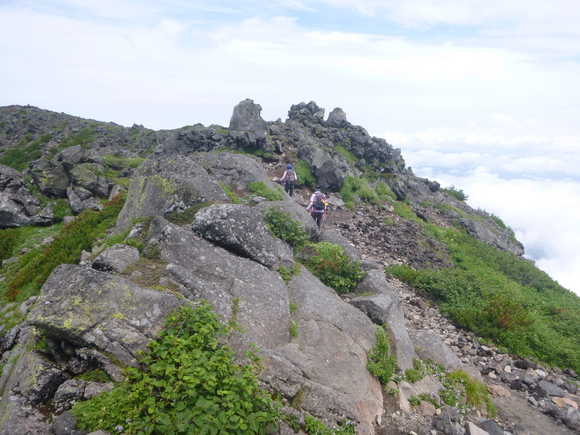 d0170615_9115735.jpg