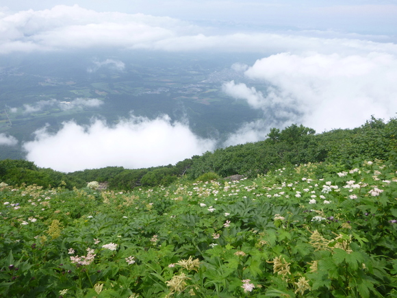 d0170615_9141431.jpg