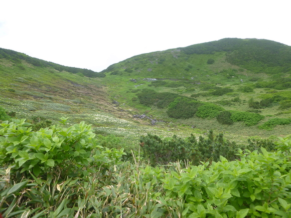d0170615_9142469.jpg